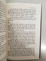 Punjab The Enemies Within ਅੰਦਰੂਨੀ ਦੁਸ਼ਮਨ  K.P.S. Gill Sadhavi Khosla Punjabi Book