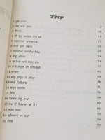 Let's Learn Gurmukhi Writing Punjabi Textbook Sentence Making 4th Book H13 Kaida