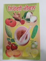 Nirogi jeevan healthy life book in punjabi - cure of diseases with home remedies