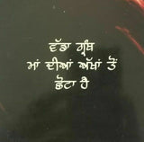 Soohey soohay akhar oh aakhdi hai punjabi poems poetry sukhvir singh book b21