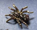 Spider brooch gold silver plated high end stones celebrity design broach pin gg