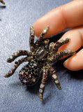 Spider brooch gold silver plated high end stones celebrity design broach pin gg