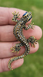 Vintage look gold plated stunning lizard gecko brooch suit coat broach pin b65