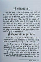 Tavreekh Amritsar Sikh Book Karam Singh historian panjabi literature Panjabi MB