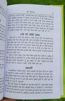 Vaidya visharad da ras shastar ayurvedic punjabi book home remdies panjabi ma