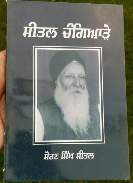 Sital changiaray ਸਤਲ punjabi sikh dadhi vaara khalsa book sohan singh sital b65