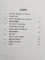 Sital changiaray ਸਤਲ punjabi sikh dadhi vaara khalsa book sohan singh sital b65