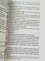 Parsa punjabi fiction novel gurdial singh reading panjabi literature pursa b18