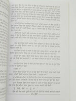 Bhua nanak singh indian punjabi reading literature panjabi stories book b29 new