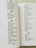 Loona luna famous punjabi poems poetry shiv kumar batalvi book in panjabi b19