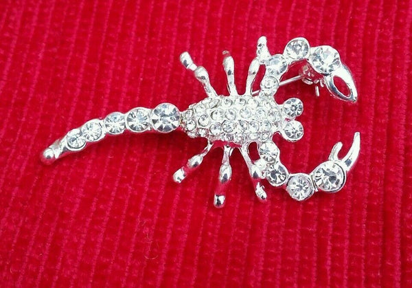 Talisman protection silver plated scorpion brooch star sign cake pin birth sign