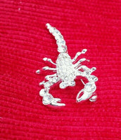 Talisman protection silver plated scorpion brooch star sign cake pin birth sign