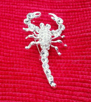 Talisman protection silver plated scorpion brooch star sign cake pin birth sign