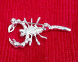 Talisman protection silver plated scorpion brooch star sign cake pin birth sign