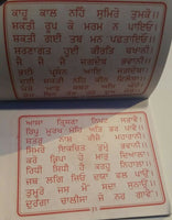 Shiri durga chalisa evil eye protection shield good luck pocket book in punjabi