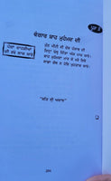 Aadh Sikh Te Aadh Sakhia Principal Satbir Singh Punjabi Book Panjabi Story B17