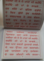 Maa Chintpurni Chalisa Evil Eye Protection Shield Good Luck Pocket Book Punjabi