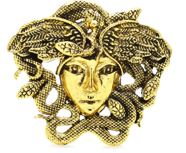 Gold or silver plated snakes head medusa lady celebrity brooch broach pin jjj29