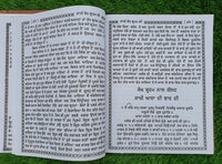 Puratan Janam Sakhi written by Shaheed Bhai Mani Sing Sikh History Rare Book HH2