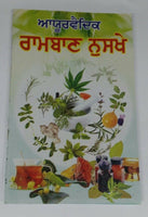 Desi ramban nuskhay full book indian tips cure for various diseases punjabi a11