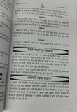 Desi ramban nuskhay full book indian tips cure for various diseases punjabi a11