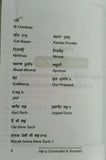 Sikh all Nitnem Bani Japji Sahib Roman English Pronunciation Translation Gutka M