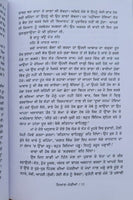 Nain mattian autobiography part 1 by gurdial singh punjabi literature book mb1