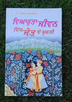 Vihaota Jiwan Ek Jot Do Murti Married Life Sex Issues Solutions Punjabi Book MC