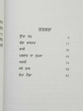 Lamma painda nanak singh punjabi reading literature story panjabi book gift b41