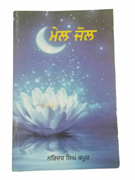 Mail jol narinder singh kapoor punjabi literature gurmukhi reading book b6