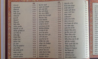 Sri Dasam Granth Sahib Ji Gurmukhi Punjabi Volume 1 and 2 Sanchia Set Damdami