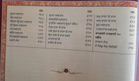 Sri Dasam Granth Sahib Ji Gurmukhi Punjabi Volume 1 and 2 Sanchia Set Damdami