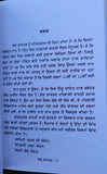 Kok Shashtar Kamasutra Rare Indian Sex Knowledge Lust Granth Punjabi Book MC New