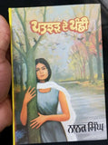 Patjhar de panchhi novel nanak singh indian punjabi reading literature book b10