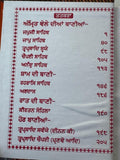 Sikh Nitnem Japji Jaap Anand Rehras Ardas Gutka Sahib Punjabi Gurbani Book VVV-8