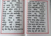 Sikh Nitnem Japji Jaap Anand Rehras Ardas Gutka Sahib Bani Hindi Gurbani Book VV