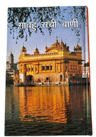 Sikh Nitnem Japji Jaap Anand Rehras Ardas Gutka Sahib Bani Hindi Gurbani Book VV