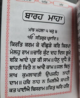 Sikh Nitnem Banis Japji Jaap Rehras Anand Sahib Gutka Punjabi Gurmukhi Book VV21