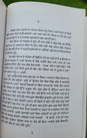 Hameergarh Novel by Ram Saroop Ankhi Literature Punjabi Reading Book B38 New