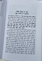 Bhai Mardana by Bhai Veer Singh Ji Punjabi Gurmukhi Literature Book Panjabi MB