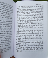 Bhai Mardana by Bhai Veer Singh Ji Punjabi Gurmukhi Literature Book Panjabi MB