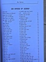 Vaid Vishardh da Ras Shastar full book Indian Cure Various diseases Punjabi STO