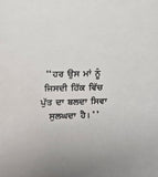 Chitt Na Chetay book Balwinder Kaur Brar Punjabi Literature Panjabi Novel B61