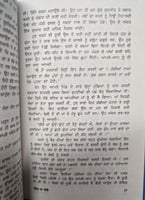 Chitt Na Chetay book Balwinder Kaur Brar Punjabi Literature Panjabi Novel B61