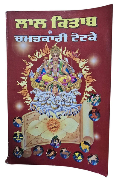 Lal Kitaab Red Book Chamatkari Totkay Jyotish Vidya  in punjabi gurmukhi New A21