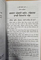 Lal Kitaab Red Book mantar Jyotish Vidya da Khajana in punjabi gurmukhi New A21